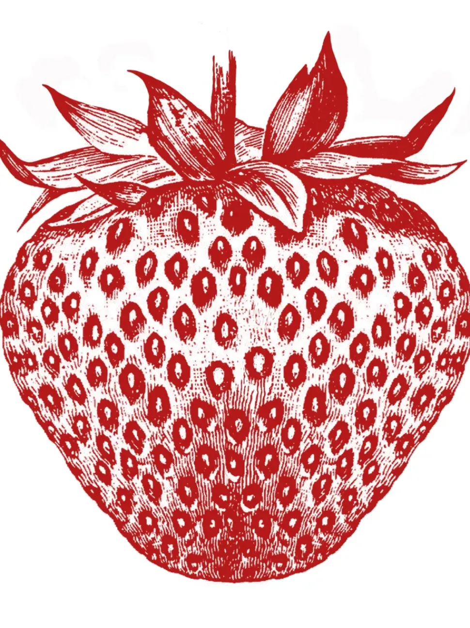 Calliope Tee - Strawberry