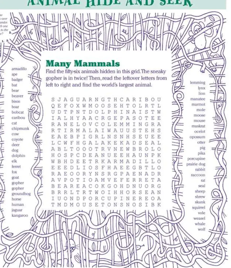 Everything Kids' Puzzle Book