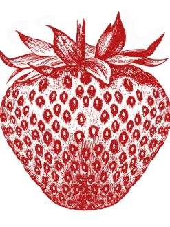 Pia Pullover - Strawberry