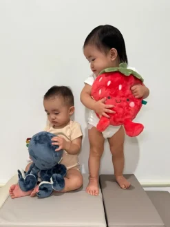 Sweetie Snuggles™ Plush - Strawberry