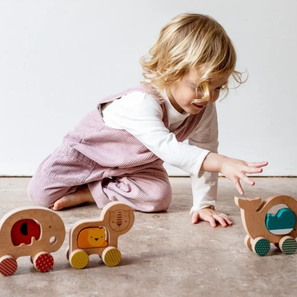 Wooden Push Along Lion Toy